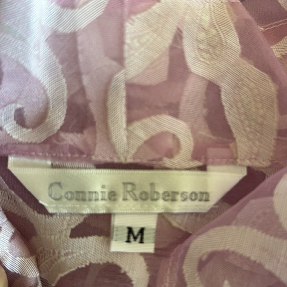 Connie Roberson Sheer Silk Button Down - Picture 6 of 7